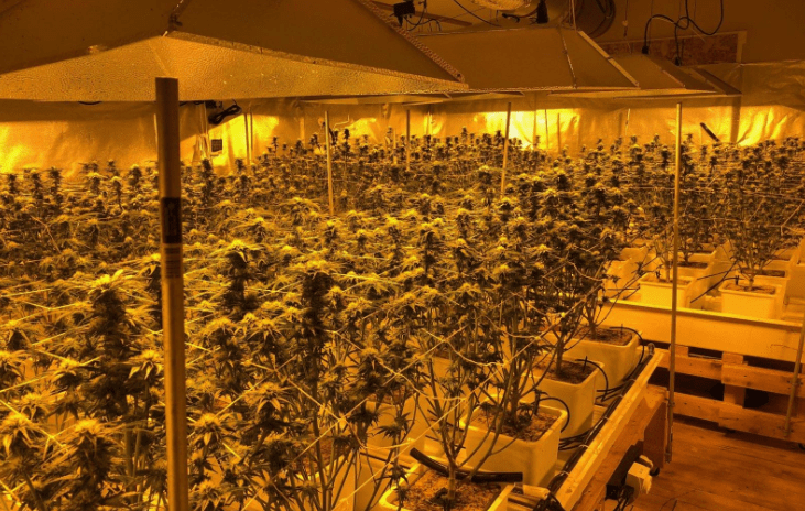 Federal Decriminalization of&nbsp;Marijuana